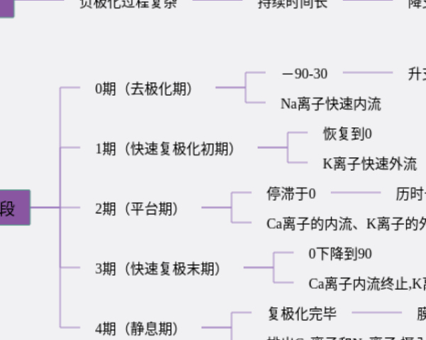四年級上冊數學圖形與幾何思維導圖(3個附打印高清版)